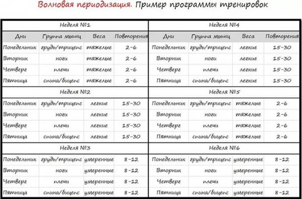Натуральный бодибилдинг. Фото без стероидов, программа тренировок Натуральный бодибилдинг. Фото без стероидов, программа тренировок