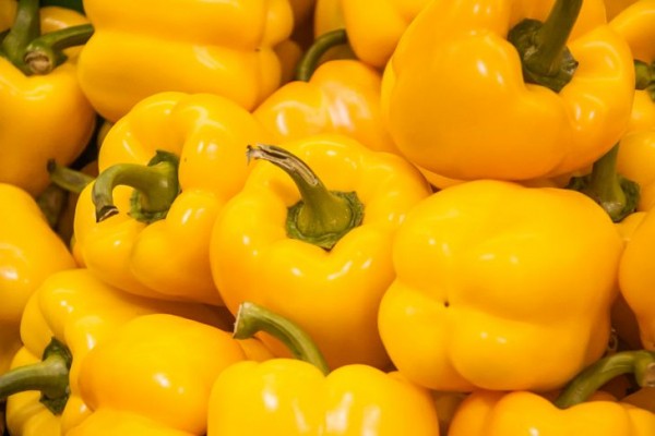 Какие продукты питания помогут сохранить стройность и молодость: эксперты назвали лучшие варианты