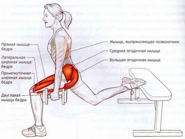 Приседание на одной ноге. Техника выполнения, какие мышцы работают Приседание на одной ноге. Техника выполнения, какие мышцы работают