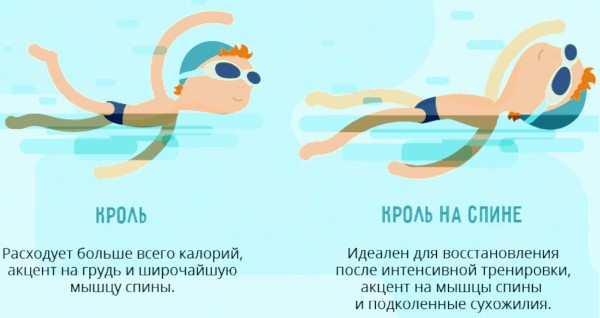 Кроль. Техника плавания кролем. Упражнения на суше, дыхание Кроль. Техника плавания кролем. Упражнения на суше, дыхание