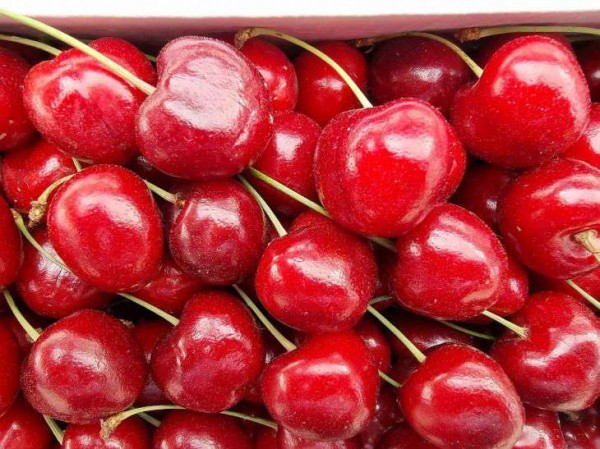 Перечислены продукты, которые снижают уровень инсулина в крови