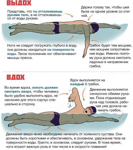 Кроль. Техника плавания кролем. Упражнения на суше, дыхание Кроль. Техника плавания кролем. Упражнения на суше, дыхание
