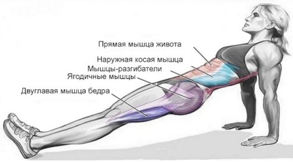 Планка упражнение. Польза для женщин, виды, фото до и после