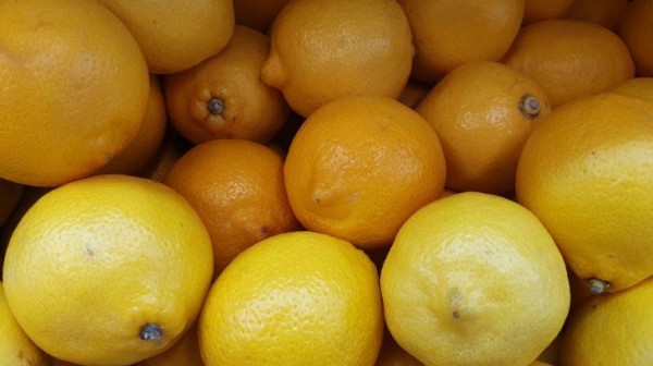 Начните пить чай с лимоном и имбирем каждый день: результат поразит &ndash; что произойдет через несколько дней