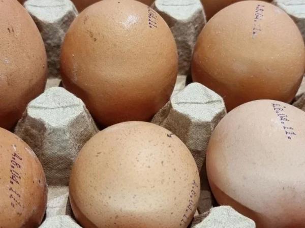 Можно ли есть яйца при высоком уровне холестерина: все не так страшно Можно ли есть яйца при высоком уровне холестерина: все не так страшно