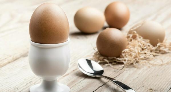 Белки в организме: зачем они нужны и как влияют на здоровье