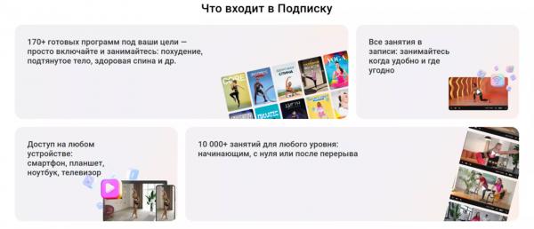 Знакомьтесь, Еживика: ваша верная напарница платформе на Живи! Знакомьтесь, Еживика: ваша верная напарница платформе на Живи!
